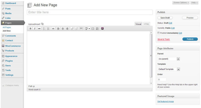 Screenshot of the WordPress CMS